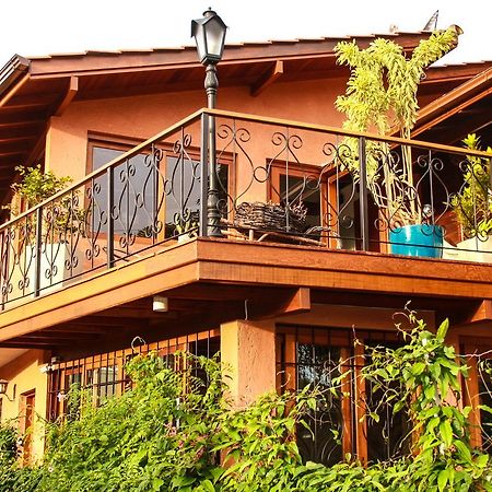 Mama Africa Hostel Florianópolis Dış mekan fotoğraf