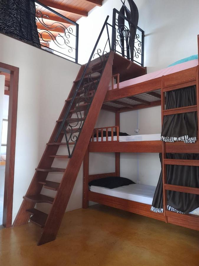 Mama Africa Hostel Florianópolis Dış mekan fotoğraf